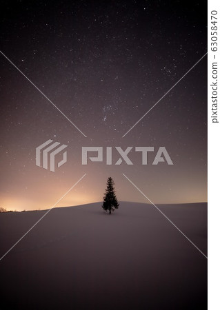 Winter Biei Christmas Tree Tree Winter Biei Christmas Tree Tree 63058470
