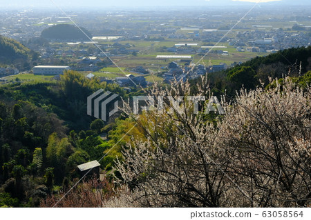 李子和奈良盆地的夜景(奈良縣櫻井市) 李子和奈良盆地的夜景(奈良縣櫻井市) 63058564