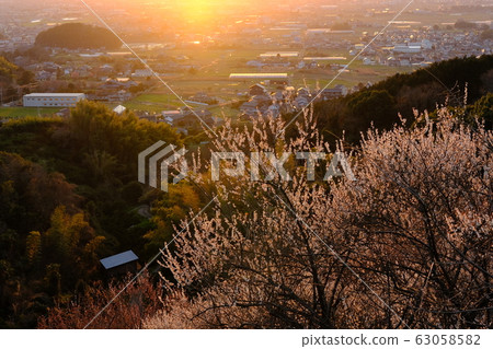 李子和奈良盆地的夜景(奈良縣櫻井市) 李子和奈良盆地的夜景(奈良縣櫻井市) 63058582