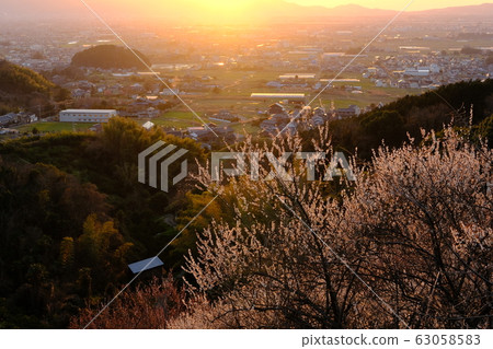 李子和奈良盆地的夜景(奈良縣櫻井市) 李子和奈良盆地的夜景(奈良縣櫻井市) 63058583