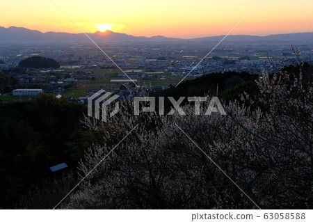李子和奈良盆地的夜景(奈良縣櫻井市) 李子和奈良盆地的夜景(奈良縣櫻井市) 63058588