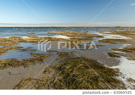 Lake Kamyslybas or Kamyshlybash 63060585