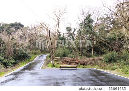 小ami郎森林（初春） 63061685