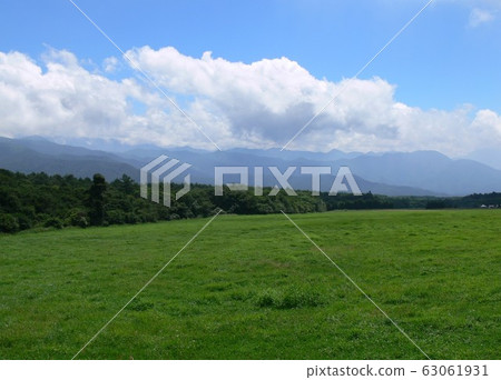 Meadow Meadow 63061931