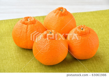 Winter-spring citrus, decopon (Dekon, Shiranui). Fruit, fruit. 63061986