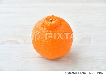 冬春柑桔，德寬（Dekon，Shiranui）。水果，水果。 63061987