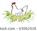 Hen incubate eggs in the nest on white background. 63062016