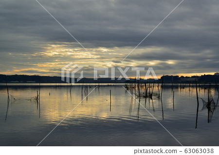 千葉縣印吧沼澤的日出景色 63063038