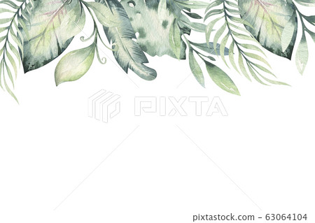 Hand Drawn Watercolor Tropical Flower Stock Illustration 63064104 Pixta