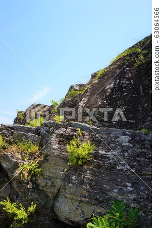 秩父，長ator，荒川，大花橋，乘船遊覽，內河遊覽，下降線，漂流 63064566