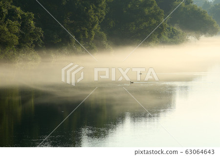 Summer river face Morning clear stream River fog 63064643