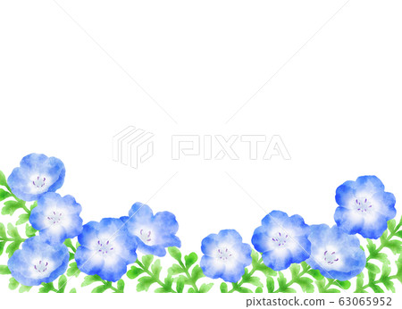 Nemophila frame Nemophila frame 63065952