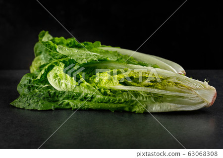 Lettuce Roman Lettuce on a dark background 63068308