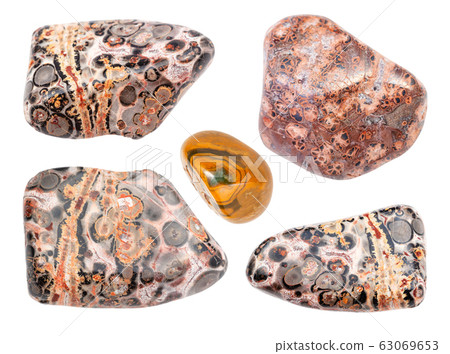 set of Leopard skin jasper (Jaguar Stone) gemstone set of Leopard skin jasper (Jaguar Stone) gemstone 63069653