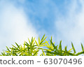 Bamboo and blue sky. 63070496