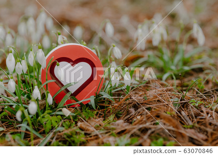 heart symbol surrounded by spring flowers 63070846