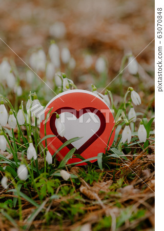 heart symbol surrounded by spring flowers 63070848
