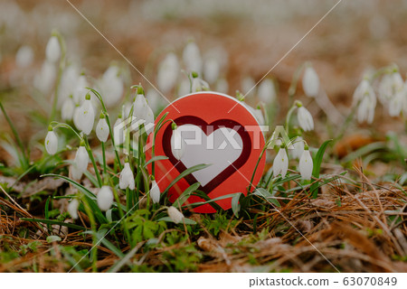 heart symbol surrounded by spring flowers 63070849