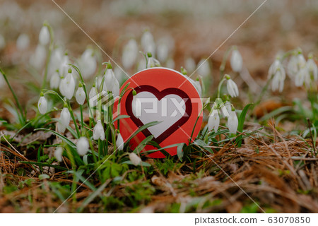 heart symbol surrounded by spring flowers 63070850