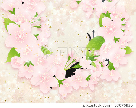 Cherry blossoms 63070930