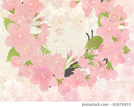 櫻花 63070933