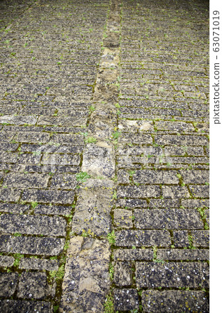 Ground street with moss 63071019