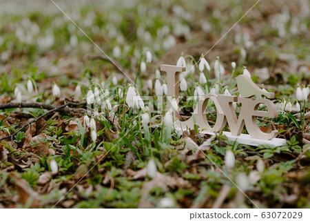 love letters inscription on ground 63072029