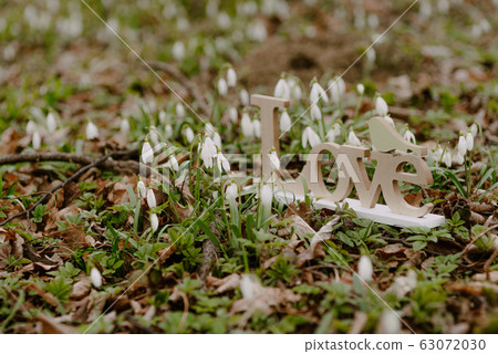 love letters inscription on ground love letters inscription on ground 63072030