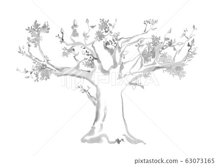 Vector Drawing Of Oak Stock Illustration  Download Image Now  Tree Large  Thick  iStock