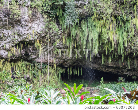 Hawaii Kauai Wailua River Fern Caves Hawaii Kauai Wailua River Fern Caves 63075208