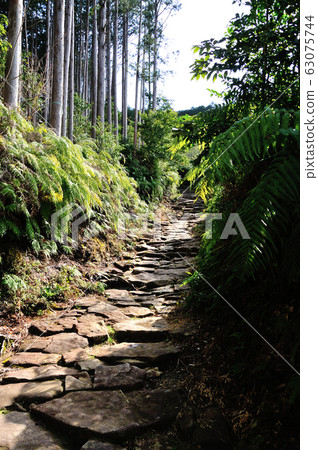Cobblestone road to Magoshi Pass 63075744