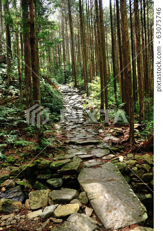 Cobblestone road to Magoshi Pass 63075746