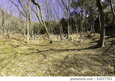 Nationally designated historic site Ibe Kita-o kiln site Bizen Yakihondori Bizen City, Okayama Prefecture 63077701