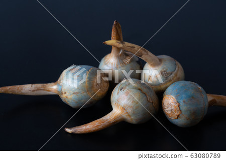 Kuwai Kuwai 63080789