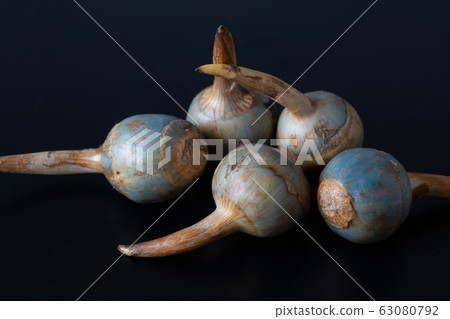 Kuwai 63080792