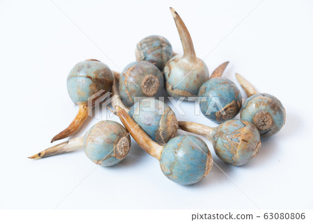 Kuwai Kuwai 63080806