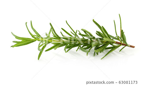 Fresh rosemary isolated on a white background. Fresh rosemary isolated on a white background. 63081173