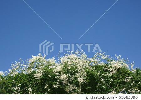 Natsuyuki Kazura 63083396