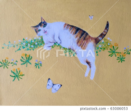 Cat and butterfly Cat and butterfly 63086053