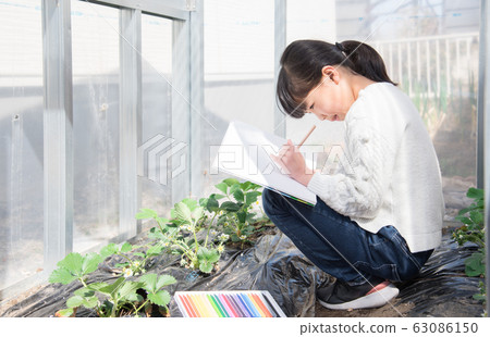 Elementary school girl 63086150