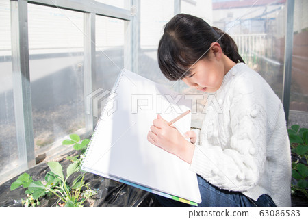 Elementary school girl Elementary school girl 63086583