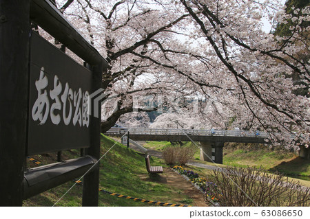 Kitashikawa · Sakura of Imadegawa (Fukushima · Ishikawa Town) 63086650