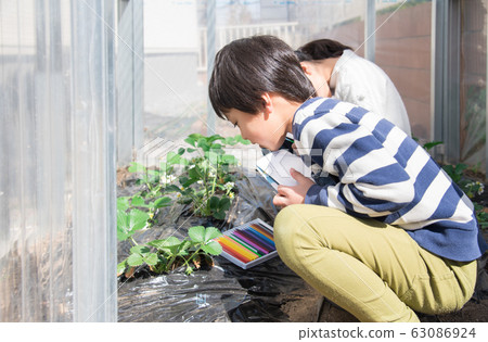 小學生 小學生 63086924