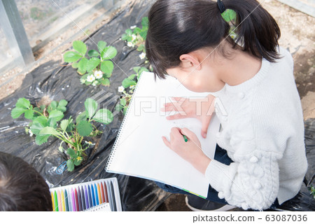 Elementary school girl Elementary school girl 63087036