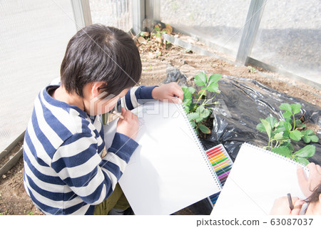 Elementary school boy Elementary school boy 63087037