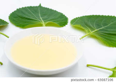 蛋油 63087106