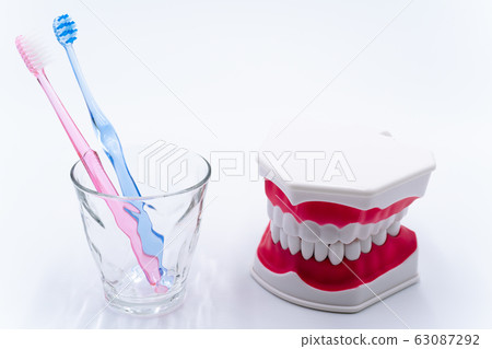 牙膏牙齒模型 牙膏牙齒模型 63087292