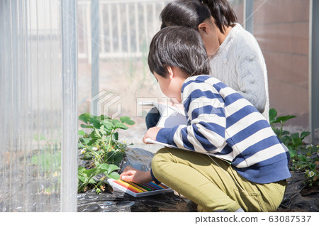 Elementary school child 63087537