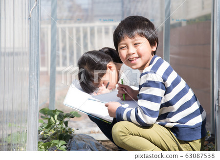 Elementary school child 63087538