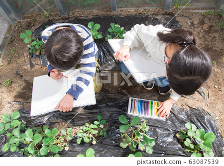 Elementary school child 63087539